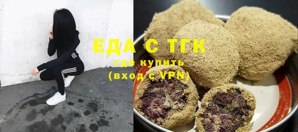 индика Балахна