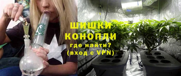 крисы Армянск