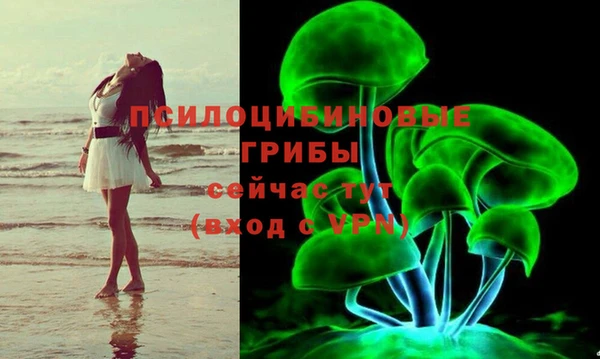 крисы Армянск